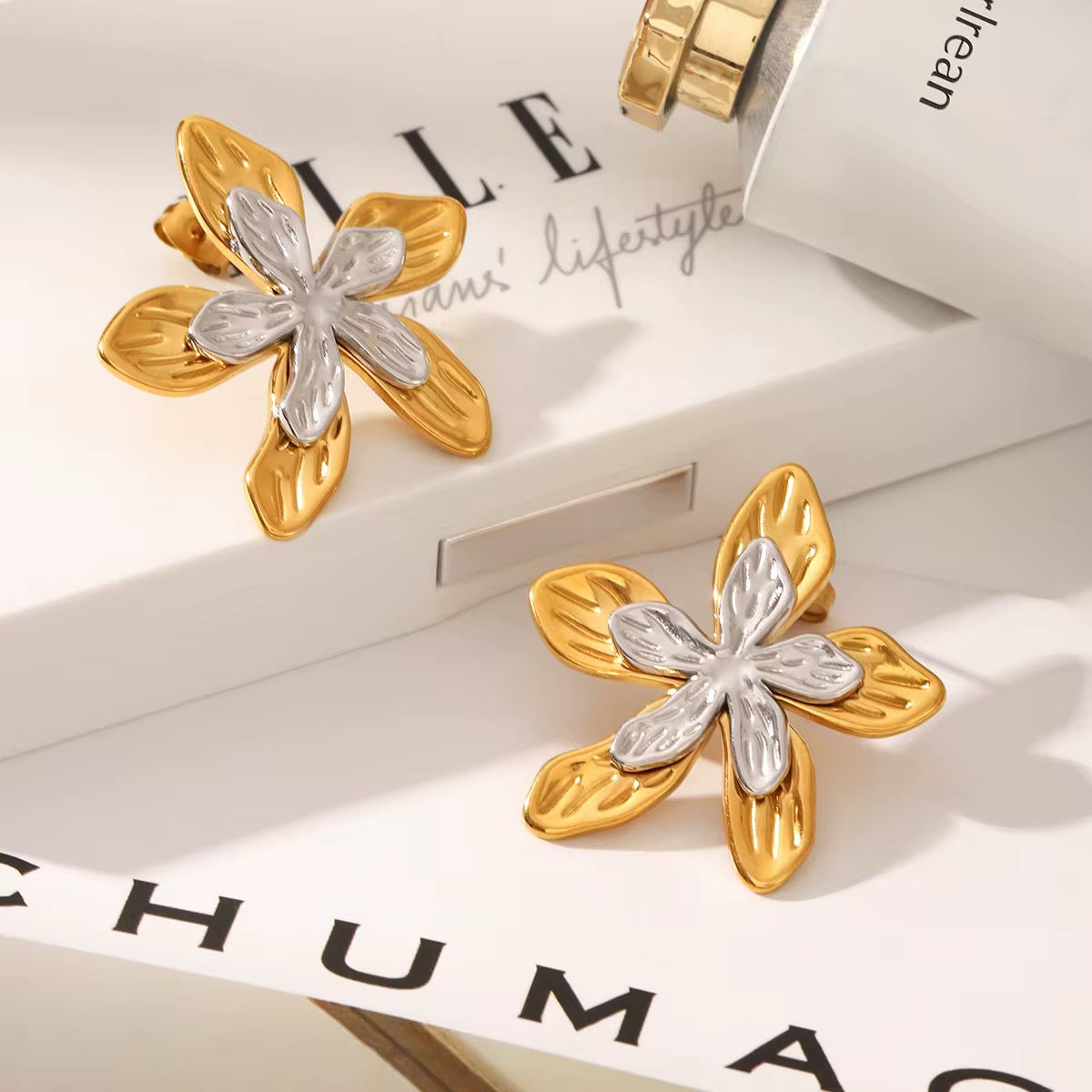 Boucles d'Oreilles